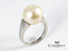 Carica l&#39;immagine nel visualizzatore di Gallery, C520 new
