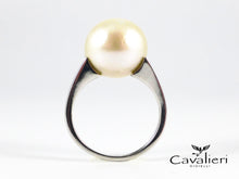 Carica l&#39;immagine nel visualizzatore di Gallery, C520 new
