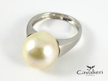 Carica l&#39;immagine nel visualizzatore di Gallery, C520 new
